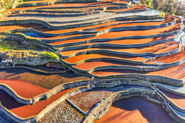 中国雲南省の元陽段々畑の空撮。 - rice paddy china traditional culture yunnan province ストックフォトと画像