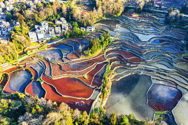 aerial view of yuanyang terraced fields,yunnan,china. - província de yunnan imagens e fotografias de stock