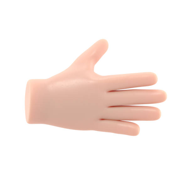 istock Cartoon Gesture Icon Mockup.Open outstretched showing five fingers, extended in greeting. 3D rendering on white background. 1473624766