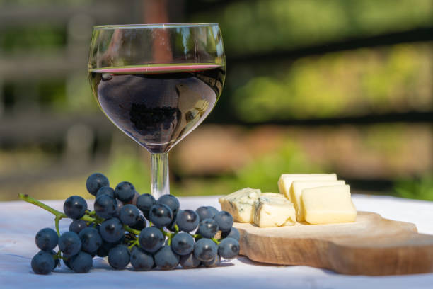 degustación de quesos, uvas y vinos tintos - cheese still life tray french cuisine fotografías e imágenes de stock