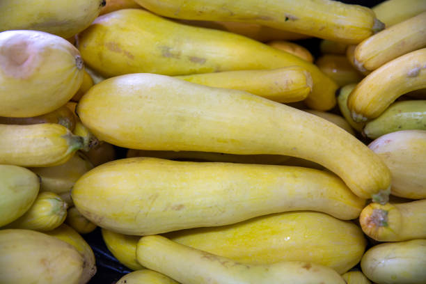 istock Bunch of Yellow Squash 1473633434