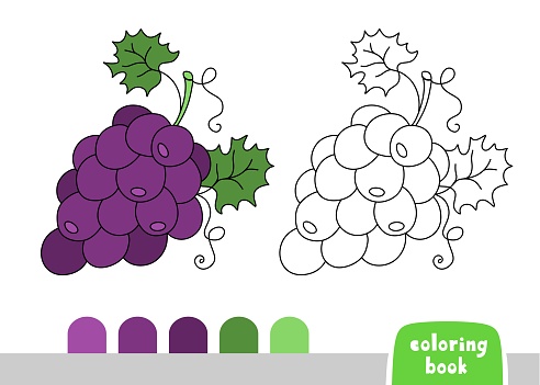 Coloring Book for Kids Grapes Page for Books Magazines Coloring Vector