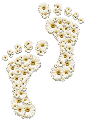 Daisy flowers arranged in footprints (human feet), isolated on white background. Healthy lifestyles and environmental conservation concept.