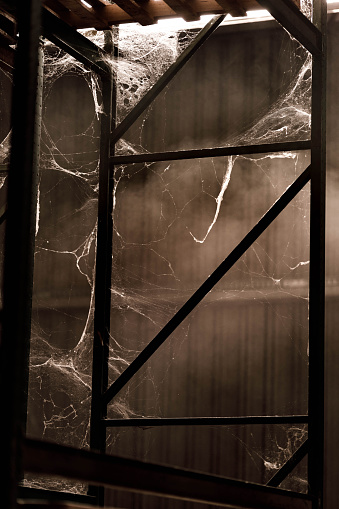 Spider webs on a metal frame in abandoned garage.