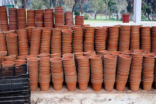 Tandoori cups in a row