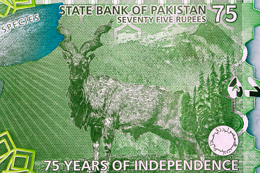 Markhor goat with landscape behind - from Pakistani money - rupee