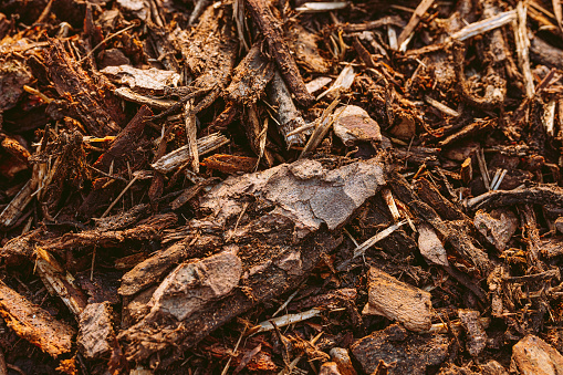 Wood chips from bark close-up. Seamless background of natural material for garden mulching. Processing of remains of natural resources. Zero Waste