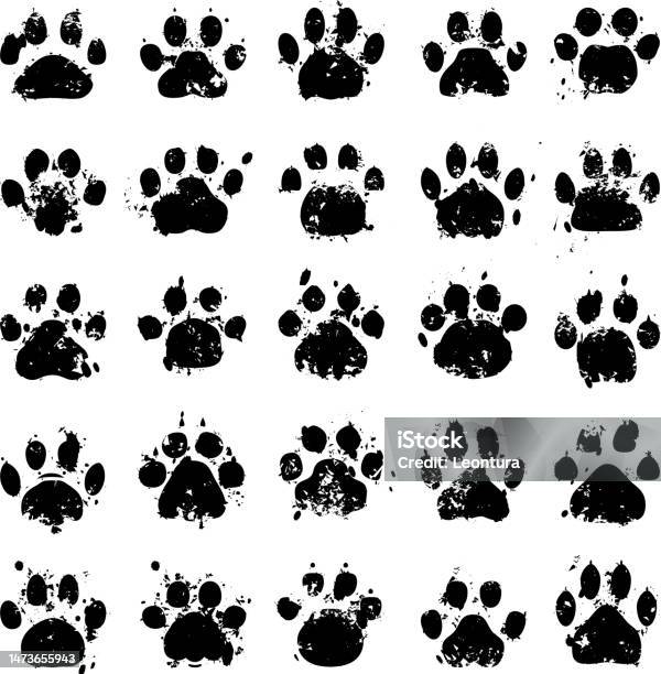 Cat And Dog Paw Prints Stock Illustration - Download Image Now - Paw Print,  Dog, Paw - iStock