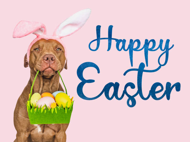 istock Happy Easter. Lovable, pretty puppy and congratulatory message 1473658795