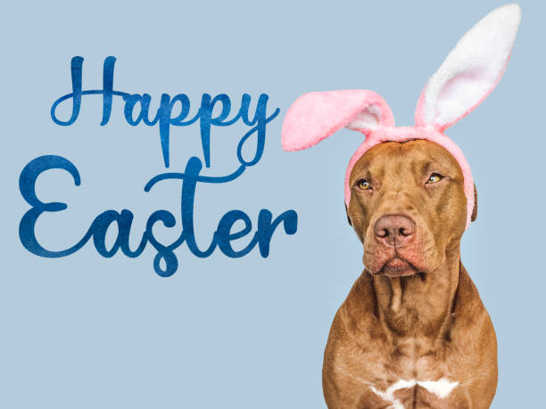 istock Happy Easter. Lovable, pretty puppy and congratulatory message 1473658956