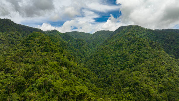 istock Top view of Mountain slopes covered with rainforest. 1473663152