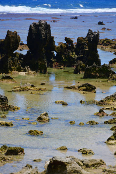 Anibare Bay, Nauru: eroded coral limestone pinnacles on the shallow water - rock formations on the reef along Anibare beach - Pacific Ocean
