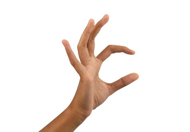 istock woman hand holding something isolated for template 1473664721