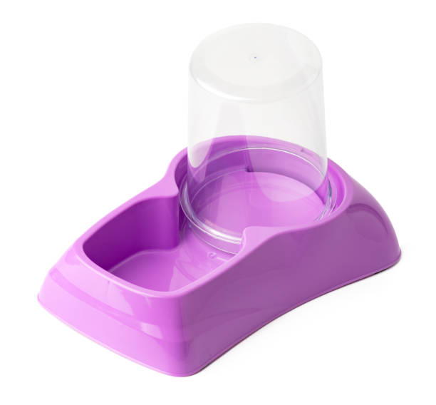 istock New plastic pet bowl isolated on white background 1473666221