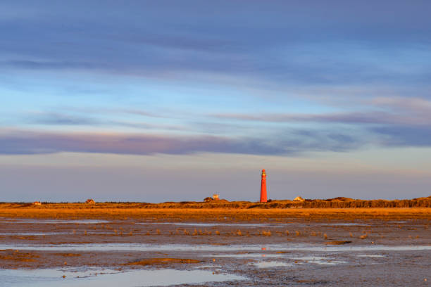 Schiermonnikoog panoramic view in the dunes with the lighthouse during sunset at the wadden island during a beautiful winter day. Schiermonnikoog is part of the Frisian Wadden Islands and is known for its beautiful natural scenery, including sandy beaches, rolling dunes, and lush wetlands.