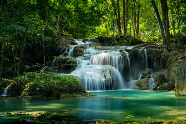 cascade forestière profonde en thaïlande. parc national de la cascade d’erawan kanjanaburi thaïlande. - cascade photos et images de collection