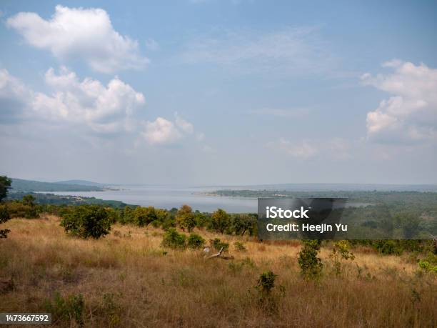 Serenity In Akagera National Park Stock Photo - Download Image Now - Akagera National Park, Animal Themes, Animals In The Wild