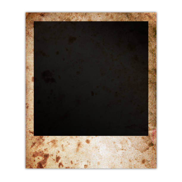 Antique vintage instant camera with blank photos with copy space on rustic green wood background.