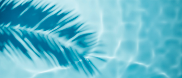 Aqua waves y fondo de sombra de palma de coco. Textura del agua de la piscina. photo