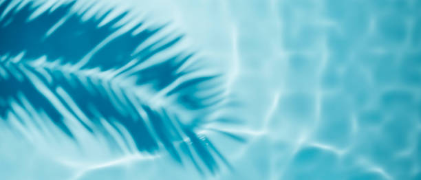 istock Aqua waves and coconut palm shadow background. Pool water texture. 1473668972