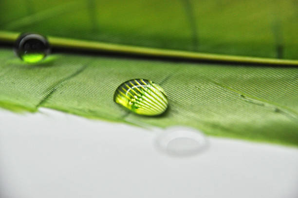 kropelki wody na kolorowych barwionych piórach kaczych zbliżenie na rosę na zieleń - water surface surface level emotional stress drop zdjęcia i obrazy z banku zdjęć