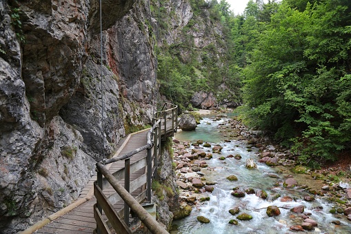 Nature of Italy. Orrido dello Slizza river canyon hiking trail in Tarvisio.
