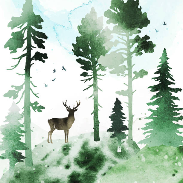istock Vector watercolor landscape with coniferous forest, birds, hills and deer. Silhouette of a animal and trees. Nature illustration for poster, book, banner, postcard 1473675958