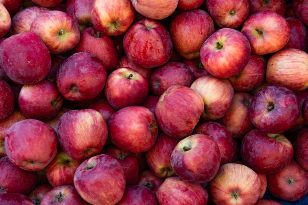 istock Red Apples on the Market Stall 1473676011