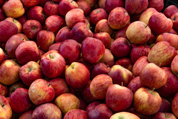 istock Red Apples on the Market Stall 1473676101