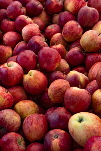 istock Red Apples on the Market Stall 1473676113