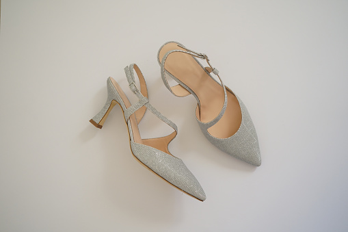 Pair elegant woman shoes a silver fashionable concept