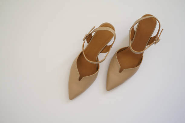 istock Woman elegant shoes on white background 1473680934