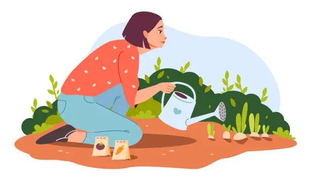 Vector illustration of A woman with a watering can. A woman in the garden is watering plants. Organic gardening. Flat vector illustration.