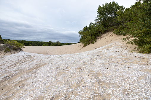 Sambaqui on Balneario Atlantico beach sand dunes, in Arroio do Sal, Rio Grande do Sul, Brazil