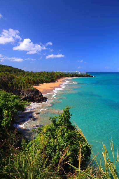 istock Plage du Grand Bas Vent, Guadeloupe 1473684222