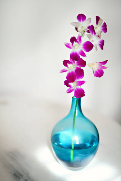 istock Beautiful orchids flower in a transparent blue vase 1473689562