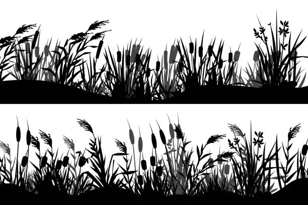 Vector illustration of Reed silhouette. Black cattail grass strip border, marsh nature vegetation horizontal banners, grassland view. Vector parallax background elements