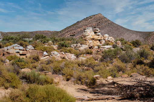 Arid area in the Little Karoo in South Africa with small shrubs