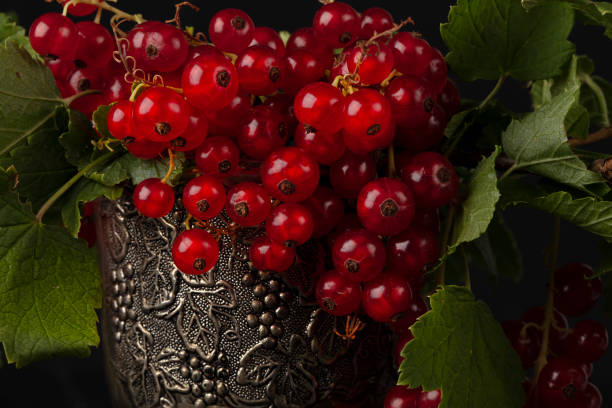 Red currant berries in a silver glass close-up.
