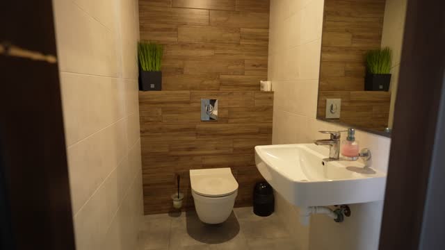 Modern interior of a toilet and wash basin