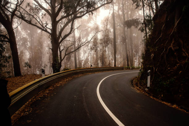 Dangerous foggy road with poor visibility