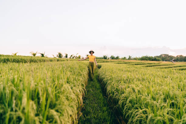 istock Young cheerful female walking on path among rice fields 1473706125