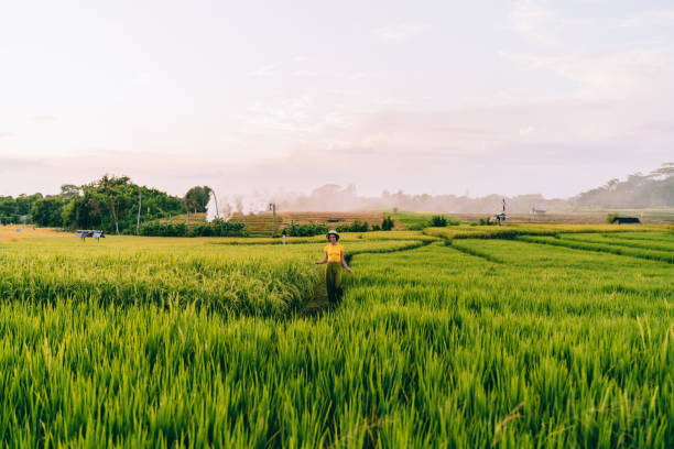 istock Anonymous gardener walking on road along farmland 1473706144