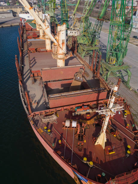 istock A bulk carrier ship loaded with grain is docked at a busy port, with workers and machinery seen in the background. 1473706405