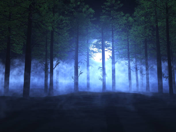 3D render of a foggy forest landscape