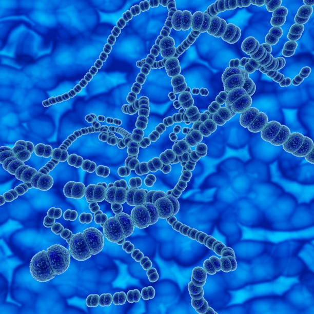 istock 3D medical background with Strep A virus cells 1473710557