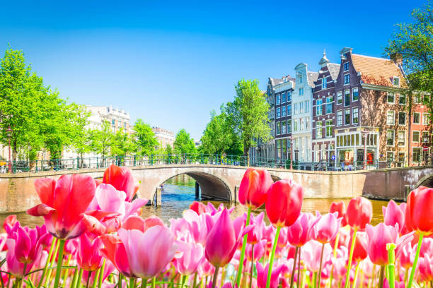 istock Houses of Amstardam, Netherlands 1473710703