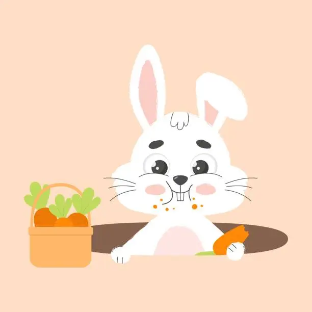 Vector illustration of Ð¡ute white easter bunny nibbles carrot in hole. Cartoon vector illustration.