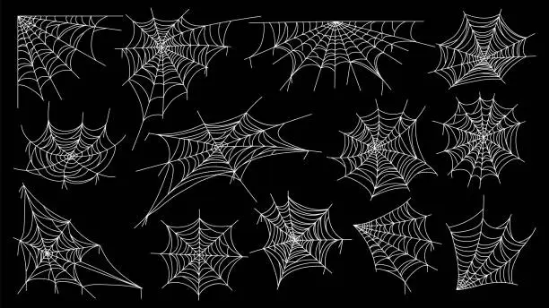 Vector illustration of Cobweb. Halloween spider web horror gothic silhouettes for decoration, spooky net with tangled hanging insects. Vector isolated collection