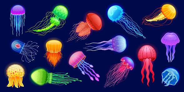 Cartoon jellyfish. Exotic glowing underwater animal, deep marine glowing creature with tentacles different colors and shapes. Vector isolated set. Fluorescent bright characters, underwater life